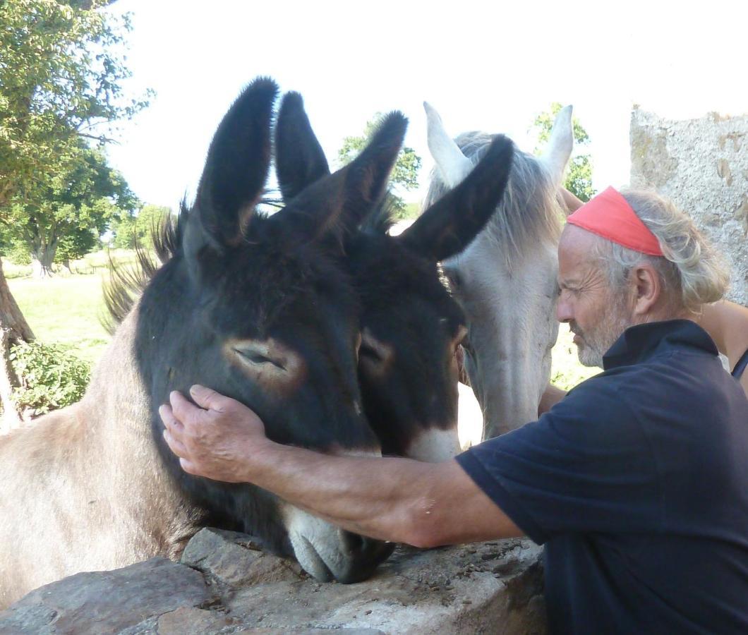 La Ferme De Pomereix Le Dorat Luaran gambar